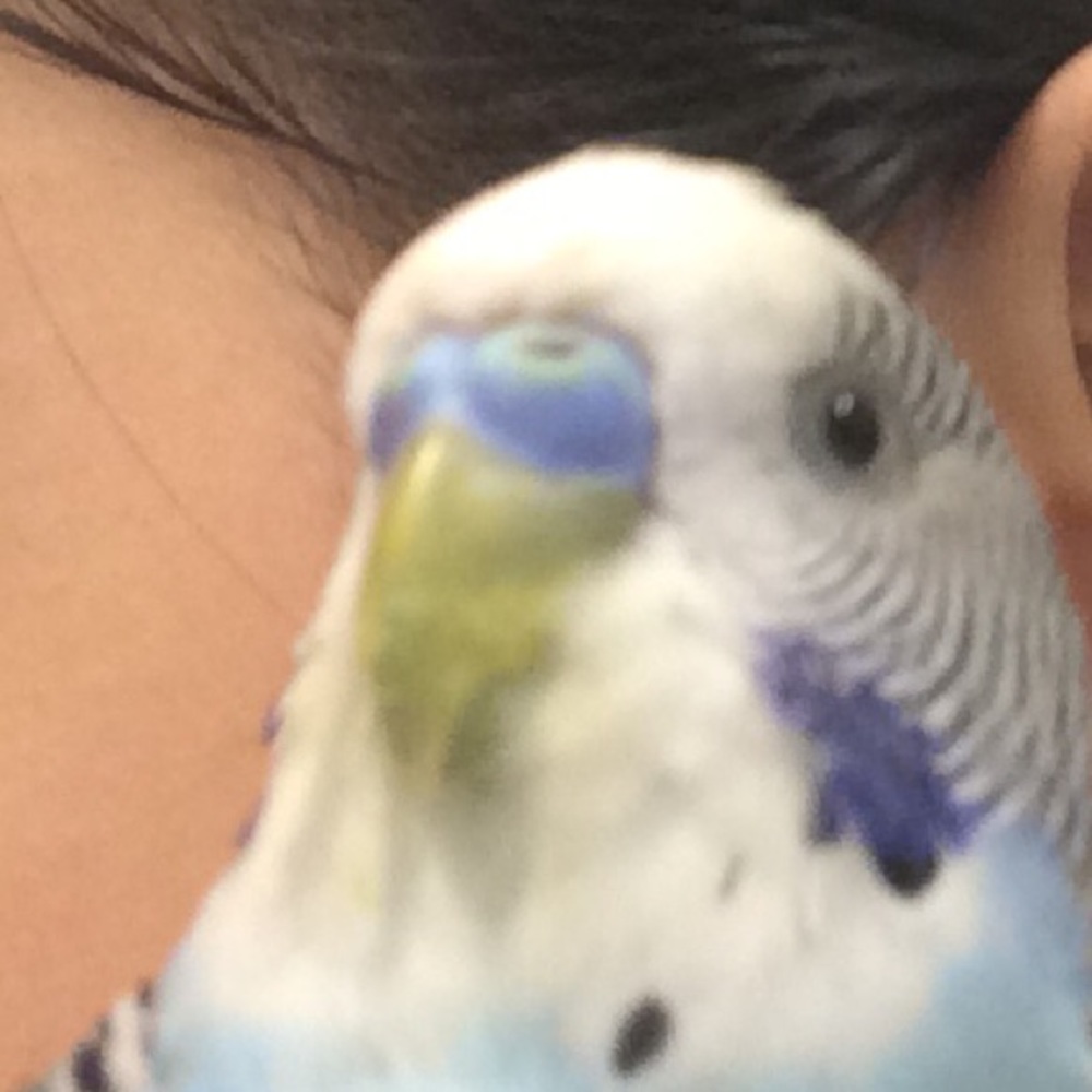 Meet your Posher, Catlyn